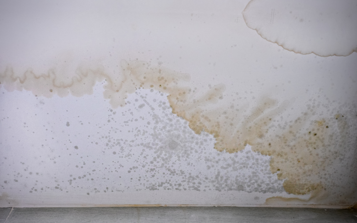 remove ceiling water stains-Apex NC painters